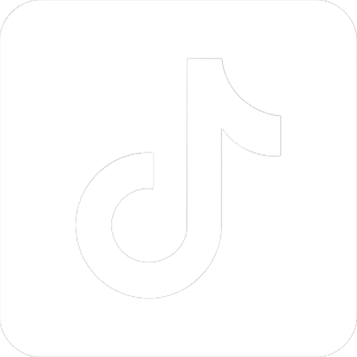 TikTok Icon
